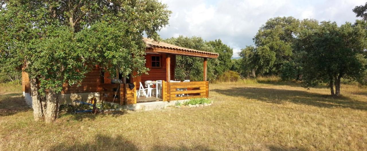 Chalet Climatise Porticcio Corse Fontanaccio Exteriör bild